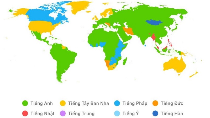 Cách tải Duolingo trên máy tính miễn phí với phiên bản mới nhất 2024