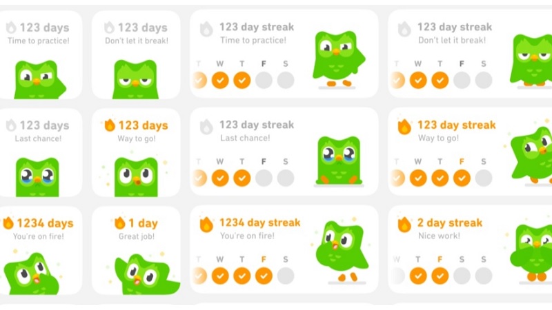 Cách tải Duolingo trên máy tính miễn phí với phiên bản mới nhất 2024