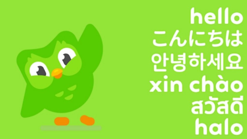 Cách tải Duolingo trên máy tính miễn phí với phiên bản mới nhất 2024