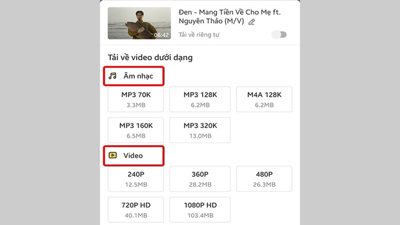 Chọn video và định dạng chất lượng để tải