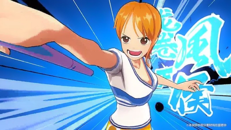 One-Piece-Ambition-6