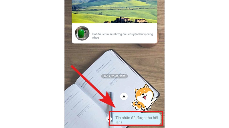 Cách thu hồi tin nhắn Zalo trên điện thoại