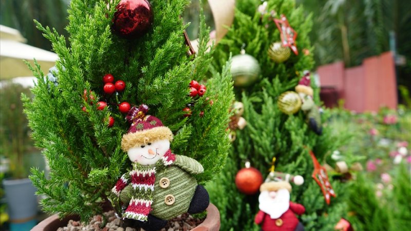 mon-qua-giang-sinh-2