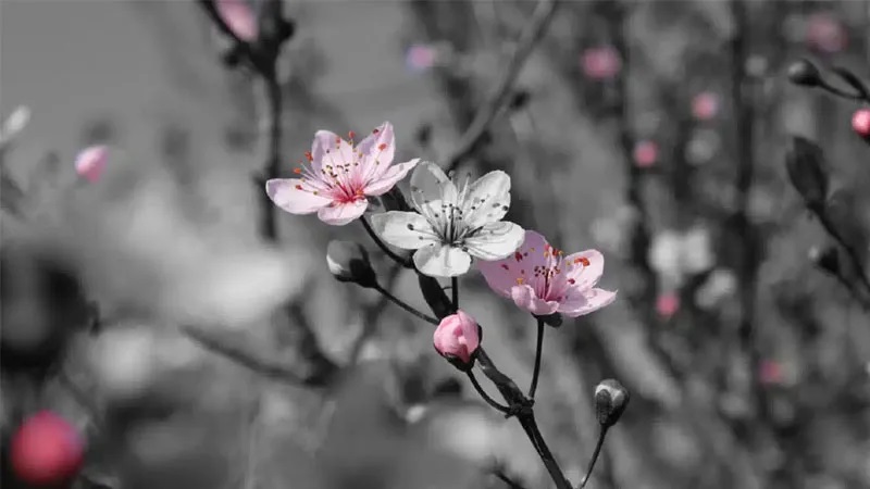 snapseed-xoa-nguoi-9