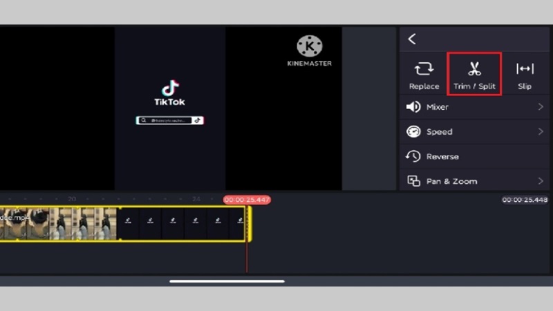 tai-kinemaster-apk-11