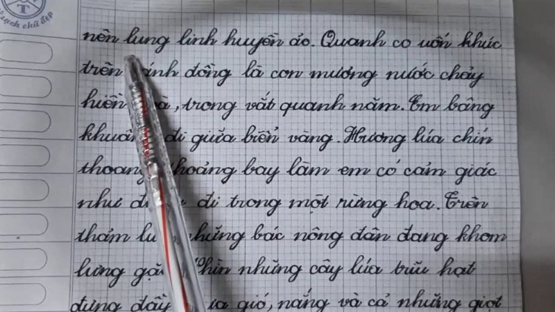 tai-mau-giay-a4-co-dong-ke-cham-7