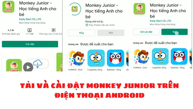 tai-monkey-junior-2