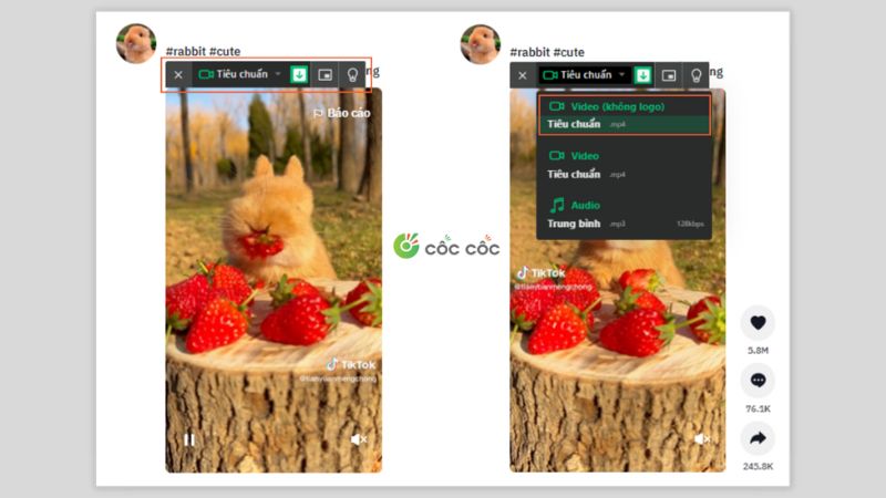 tai-video-tiktok-khong-co-nut-luu-9