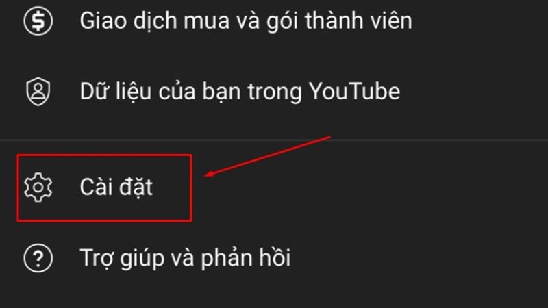 xoa-lich-su-tim-kiem-youtube-tren-iphone-13