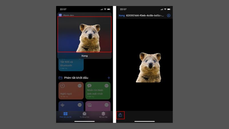 xoa-nen-anh-tren-iphone-13