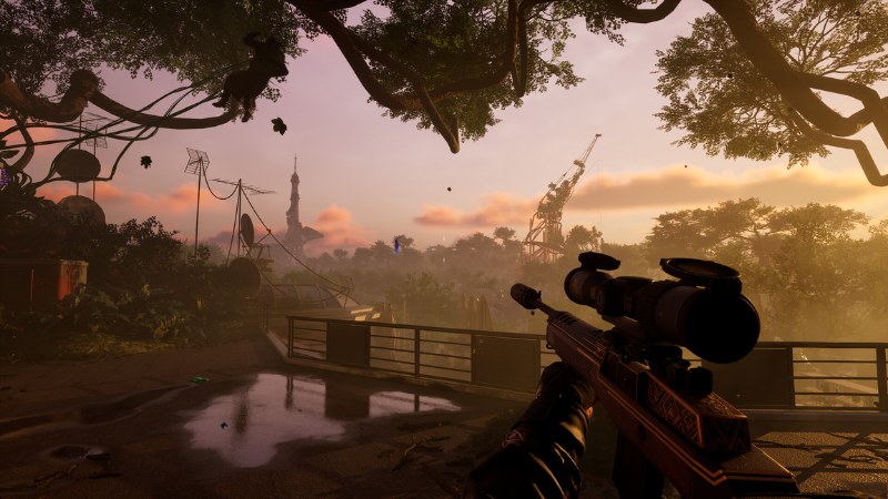 Forest-Reigns-game-2