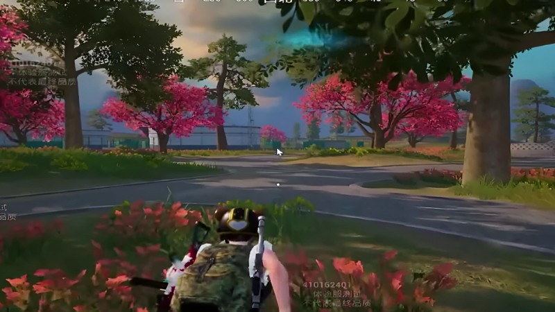 che-do-Sacred-Quartet-8