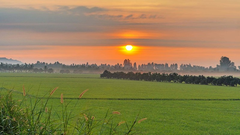 tai-hinh-anh-binh-minh-dep-nhat-31