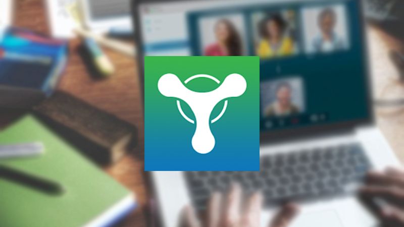 tai-phan-mem-trans-1