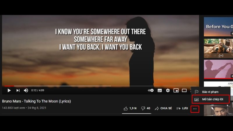 tai-phu-de-youtube-8