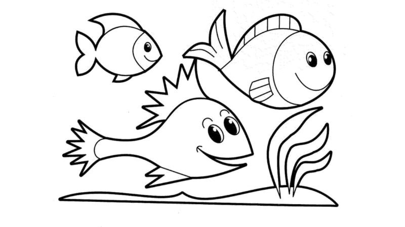 tai-tranh-to-mau-con-vat-de-thuong-cho-be-25