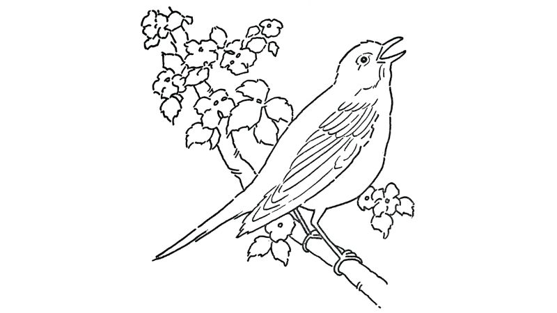 tai-tranh-to-mau-con-vat-de-thuong-cho-be-36