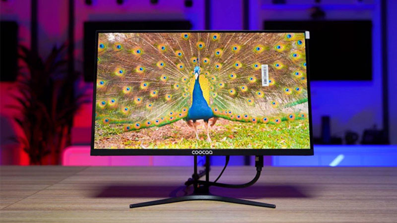 tivi-coocaa-55-inch-3