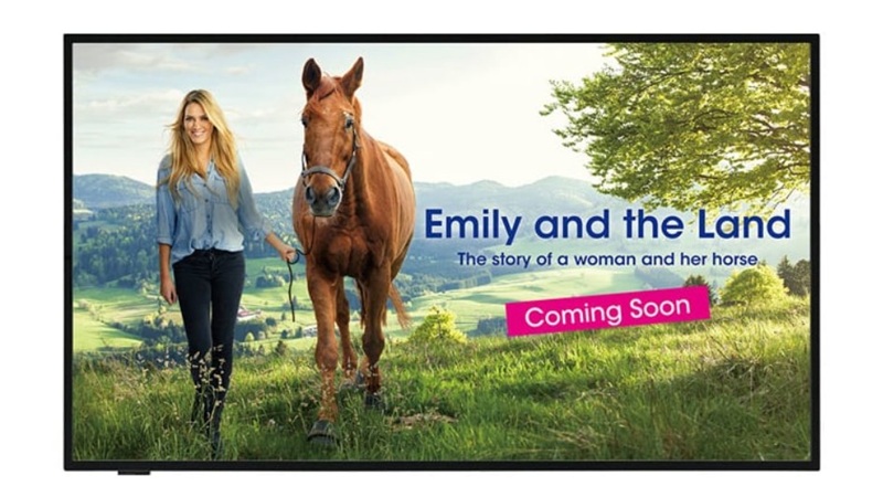 Tivi Sharp PN-UH431 4K Ultra-HD LCD