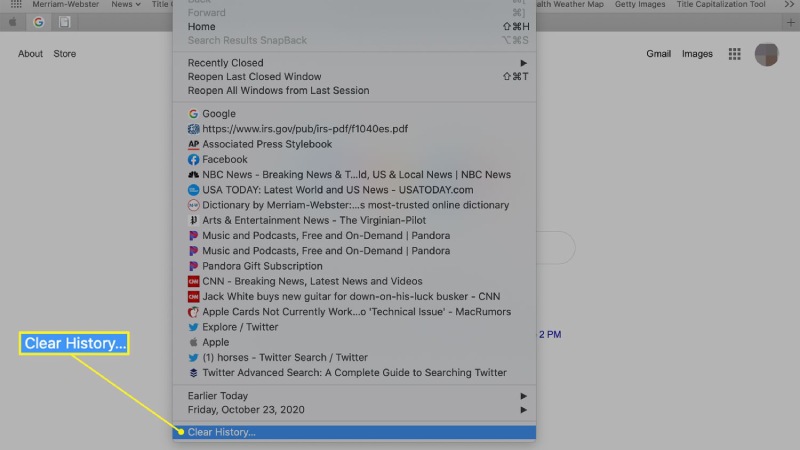 xoa-lich-su-safari-10
