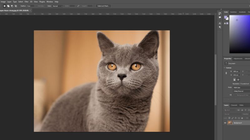 xoa-nen-anh-trong-photoshop-22