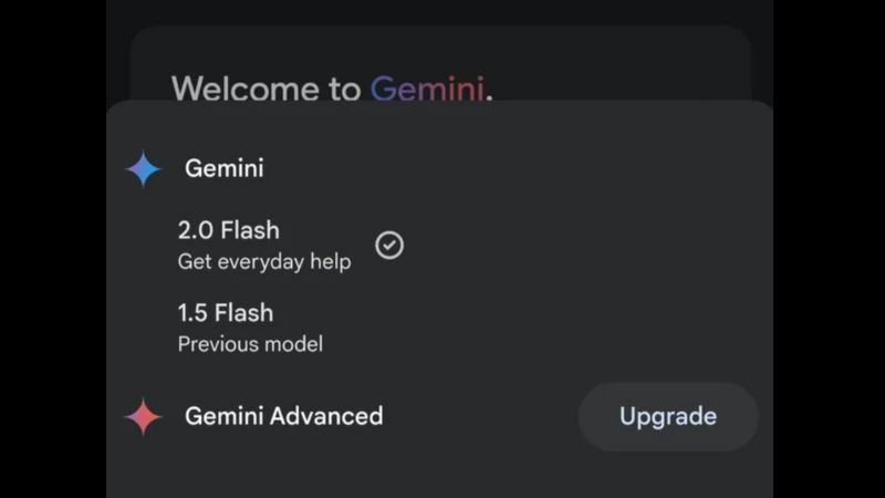 Gemini Flash 2.0