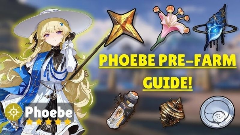 build-phoebe-6