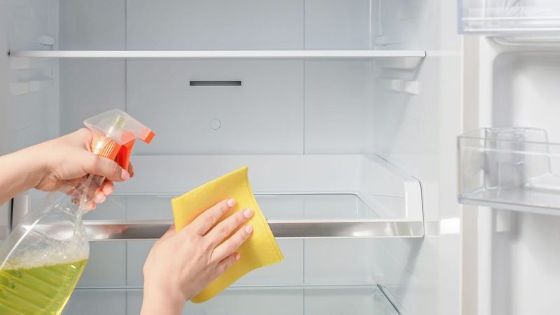 cach-khu-mui-tu-lanh-3