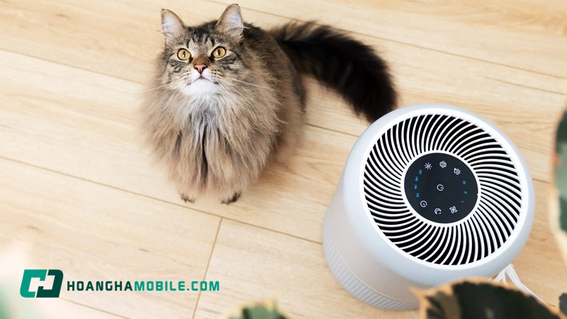 gia-may-loc-khong-khi-07