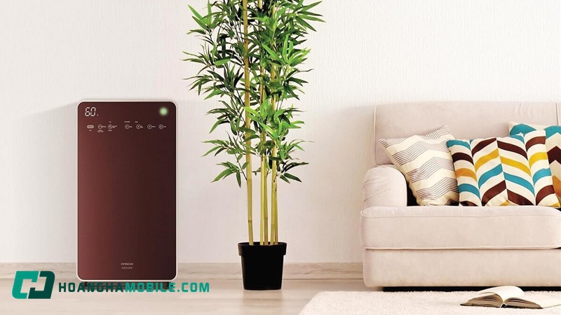 gia-may-loc-khong-khi-11