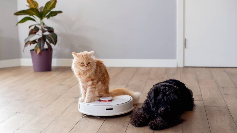 may-hut-bui-tu-dong-11