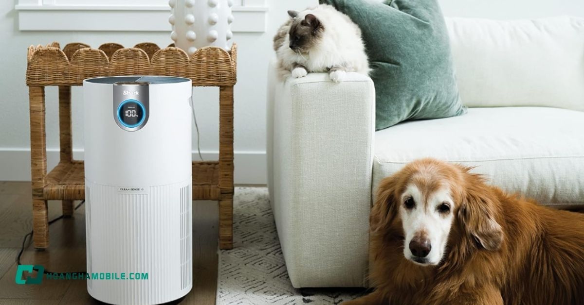 may-loc-khong-khi-loai-nao-tot