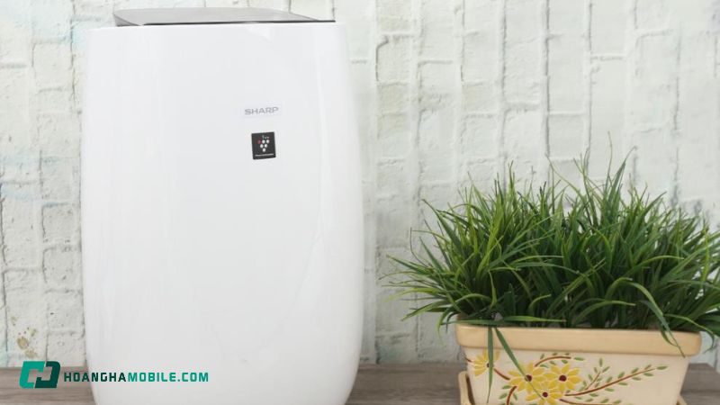 ly-do-ban-nen-chon-may-loc-khong-khi-sharp-fp-j40e-w-7