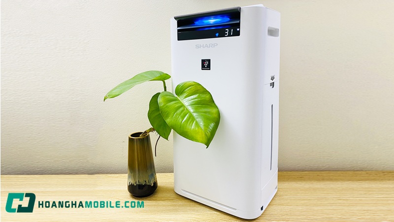 may-loc-khong-khi-sharp-noi-dia-nhat-01