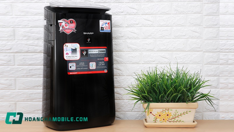 may-loc-khong-khi-sharp-noi-dia-nhat-02