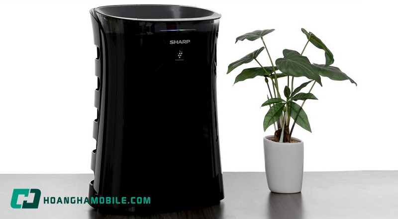 may-loc-khong-khi-sharp-noi-dia-nhat-04