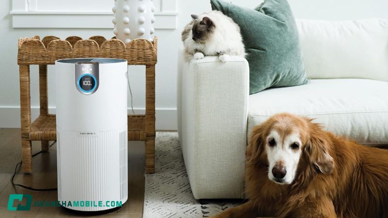 top-cac-tac-dung-cua-may-loc-khong-khi-doi-voi-suc-khoe-8