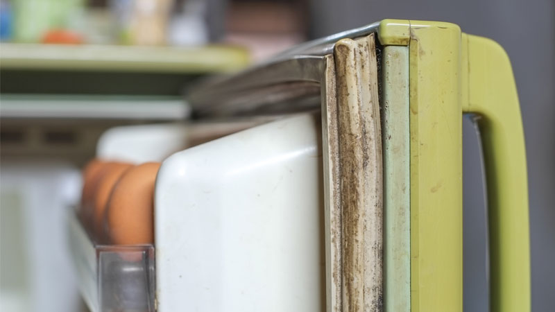 thay-gioang-tu-lanh-3