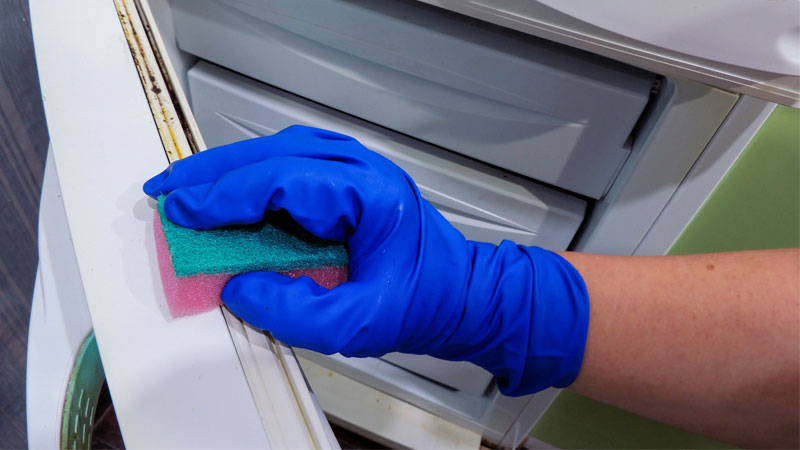 thay-gioang-tu-lanh-8