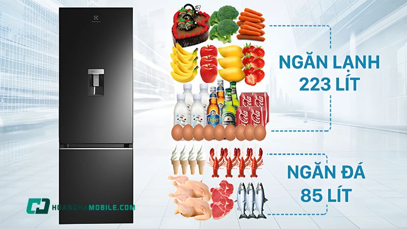 tu-lanh-electrolux-31