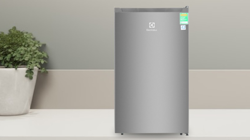 tu-lanh-mini-electrolux-1