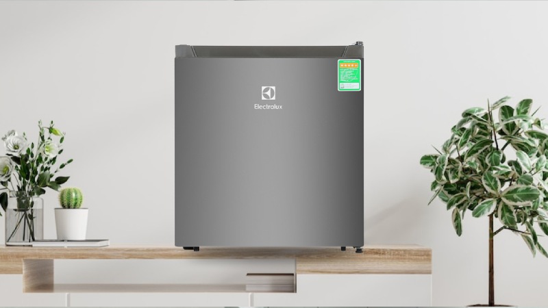 tu-lanh-mini-electrolux-5