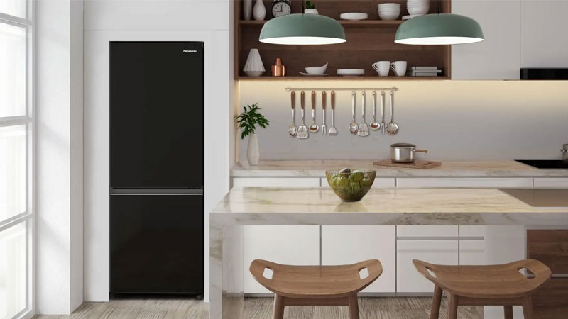 tu-lanh-panasonic-170l-2