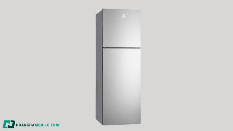 top-10-tu-lanh-tiet-kiem-dien-nhat-tren-thi-truong-3