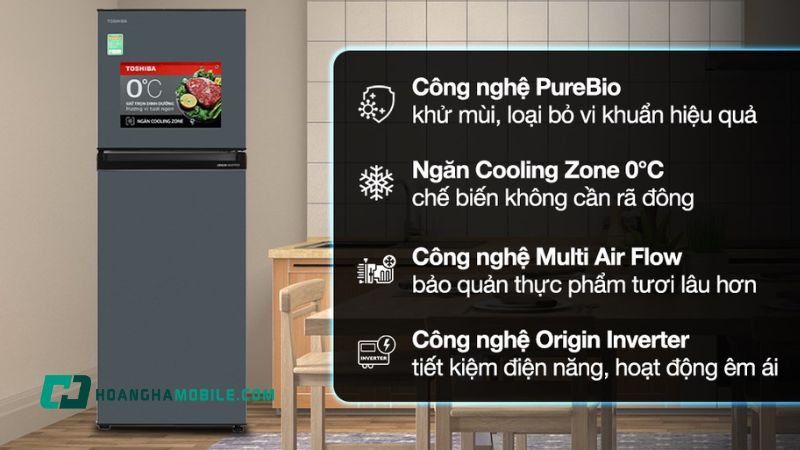 tu-lanh-toshiba-inverter-13