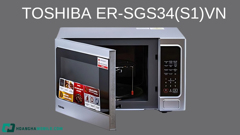 Lo-vi-song-TOSHIBA-1