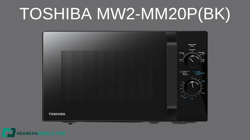 Lo-vi-song-TOSHIBA-10