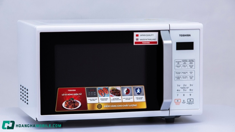 Lo-vi-song-TOSHIBA-4