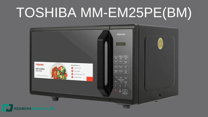 Lo-vi-song-TOSHIBA-5