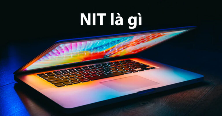 Nit là gì